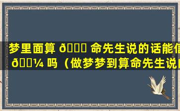 梦里面算 🍁 命先生说的话能信 🌼 吗（做梦梦到算命先生说的话是真的吗）